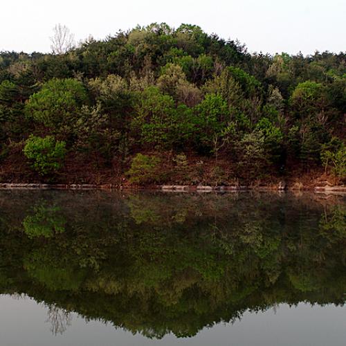 오늘 아침엔11탄(연 작)