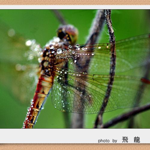 오늘 아침엔104-2탄