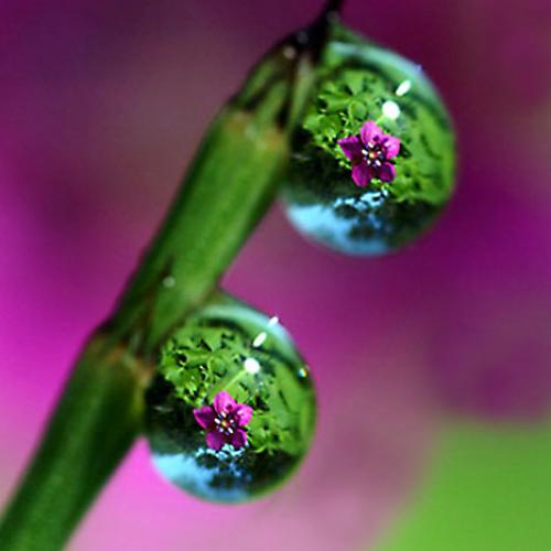 오늘 아침엔221탄