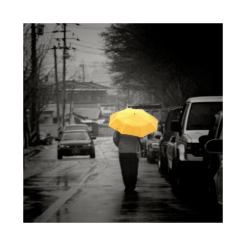 진눈개비 오던 날..