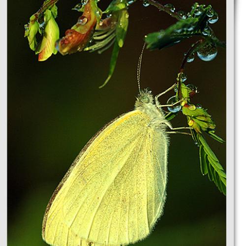 오늘 아침엔105 탄