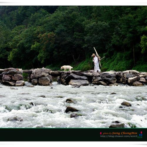 진천 농다리 축제