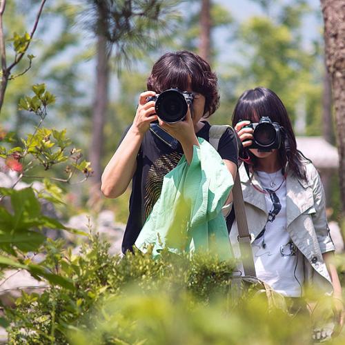 정기출사 회원님들