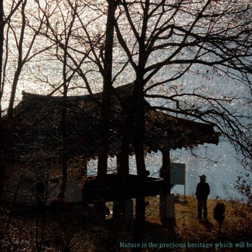 외로움 그리고 상념...