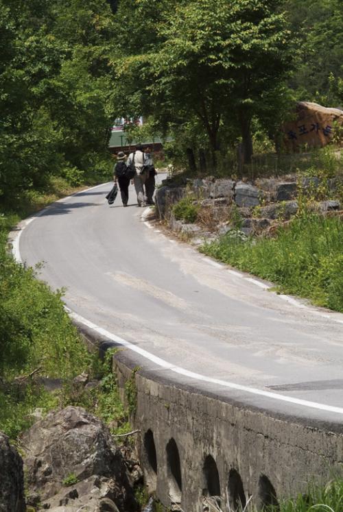 점심 먹으러 가는 길