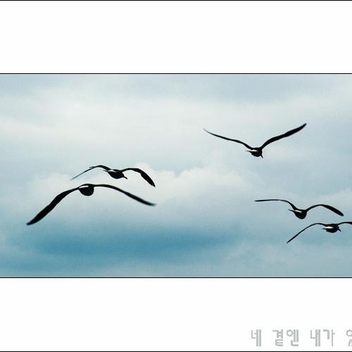 우리함께 날아보자.