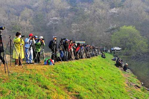 워....많다 ㅠ.ㅠ