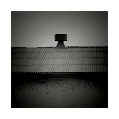 공주 우성에서..