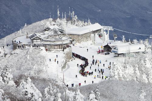 2011년 첫포스팅