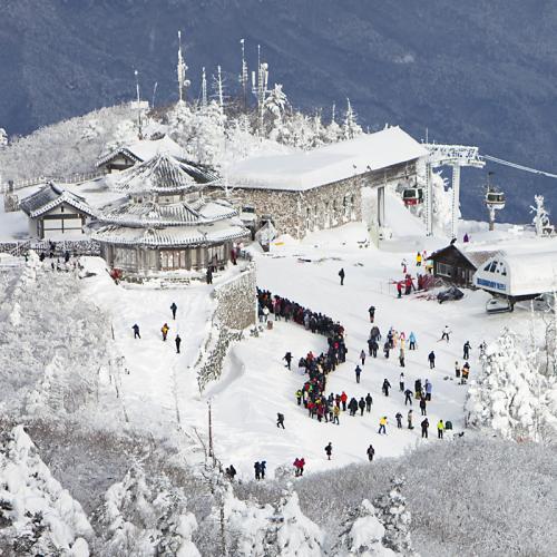 2011년 첫포스팅