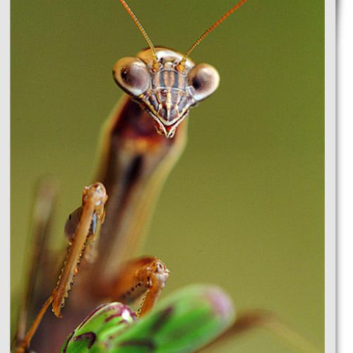 오늘 아침엔105-2탄