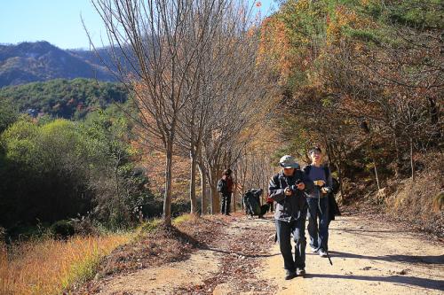 일요일 천태산 산행