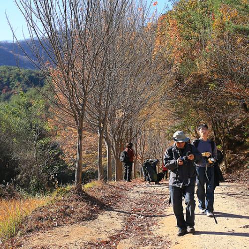 일요일 천태산 산행