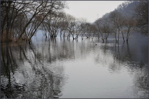 대청호가는 길에