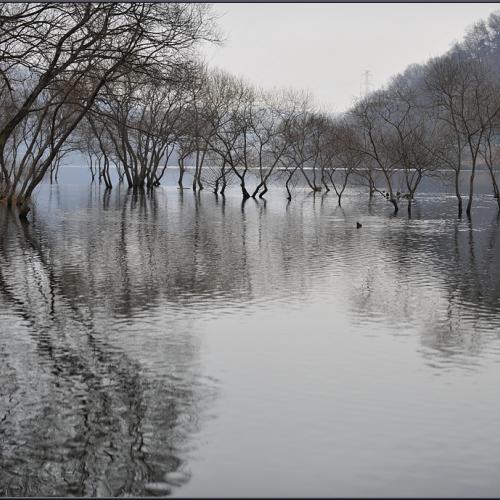 대청호가는 길에