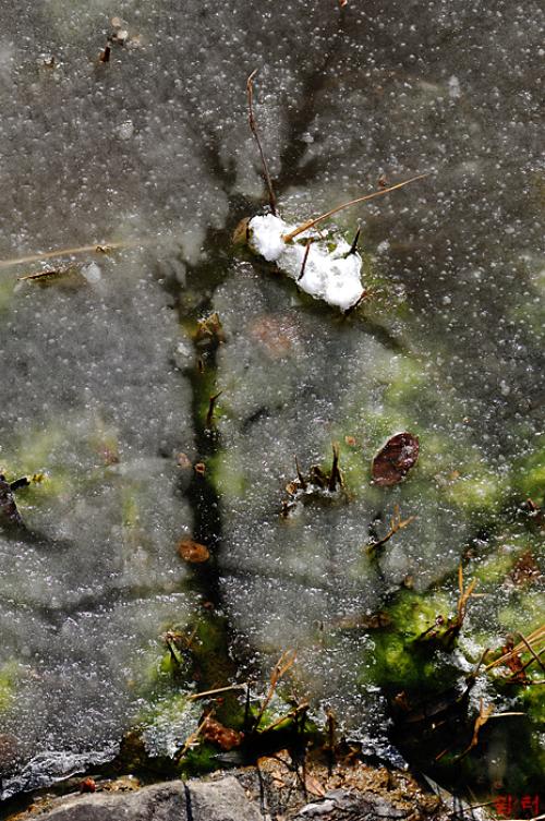 겨울과 봄의 흔적