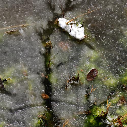 겨울과 봄의 흔적