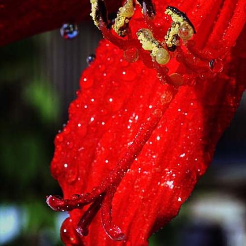 오늘 아침엔13탄