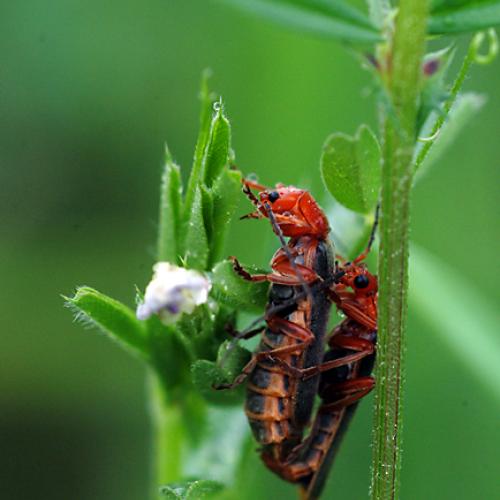 오늘 아침엔162탄(어부바)