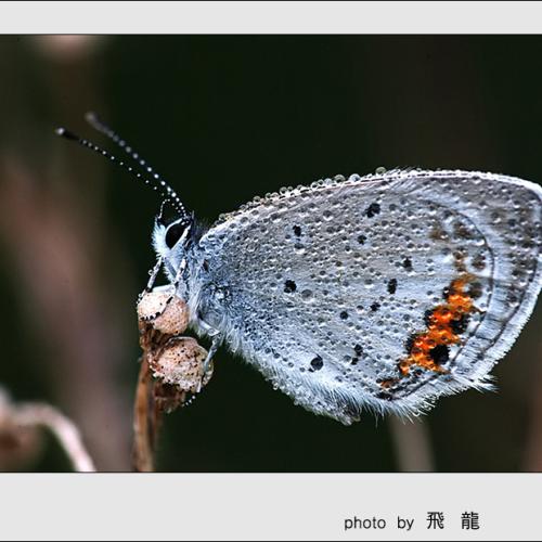 오늘 아침엔106탄