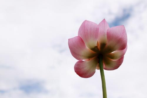 연인-이렇게도 꼿혀 봅니다