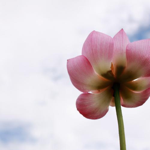 연인-이렇게도 꼿혀 봅니다