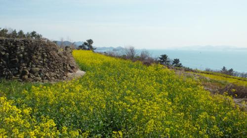 제주도다녀왔어요