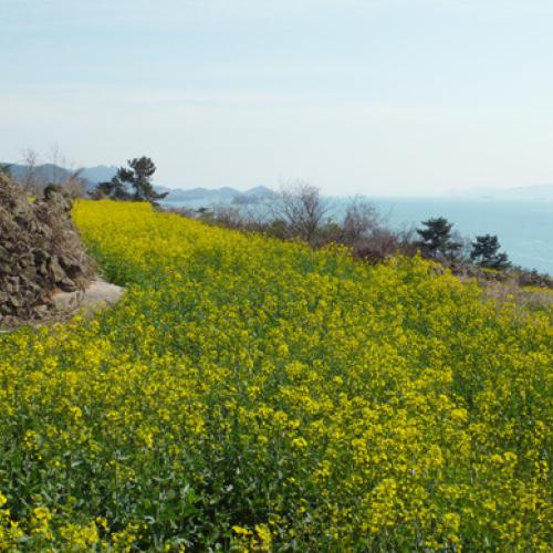 제주도다녀왔어요