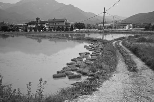 공주 계룡에서..