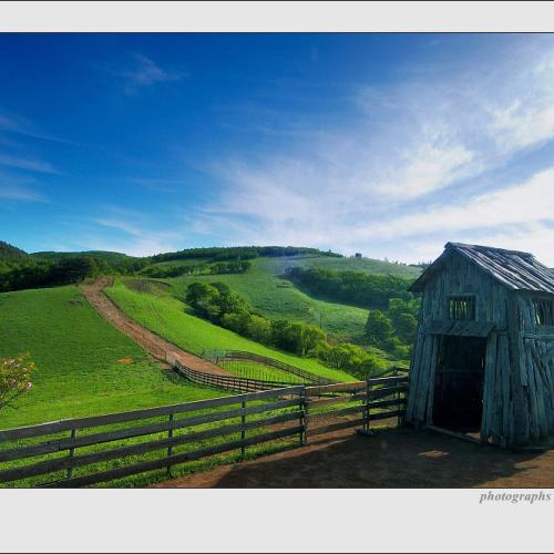 안개걷힌 목장의 이른 아침