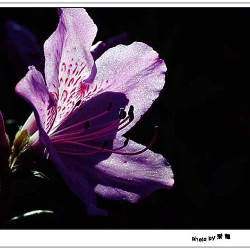 오늘 아침엔14탄(연작)