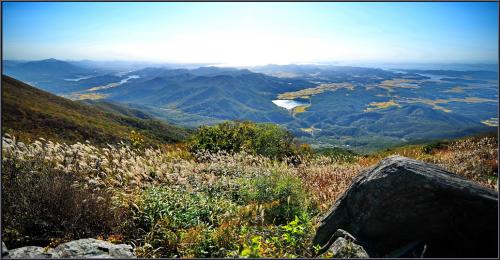 억새가 있는 풍경들