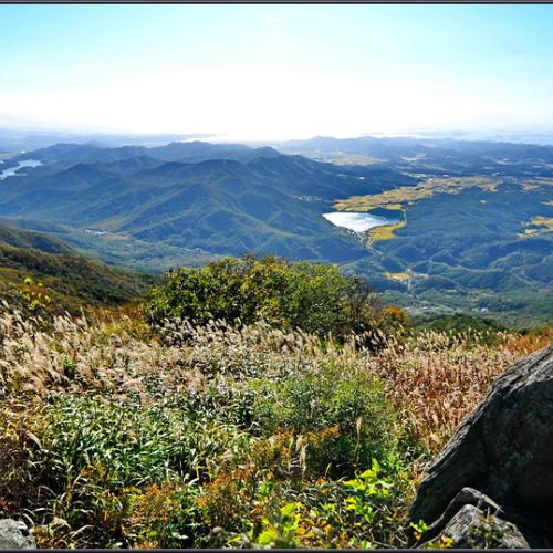 억새가 있는 풍경들