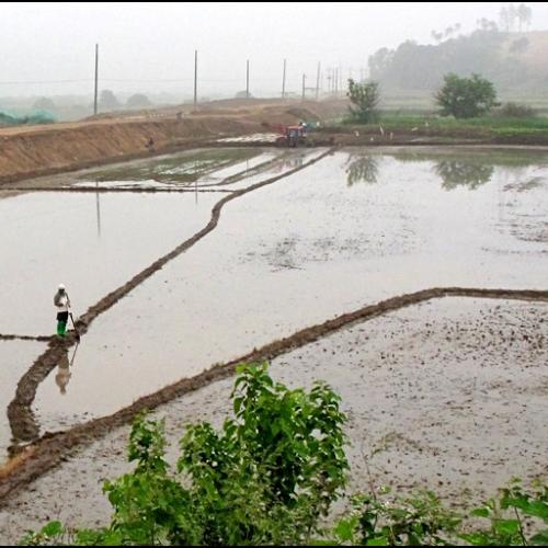 4대강 사업 금강 주변