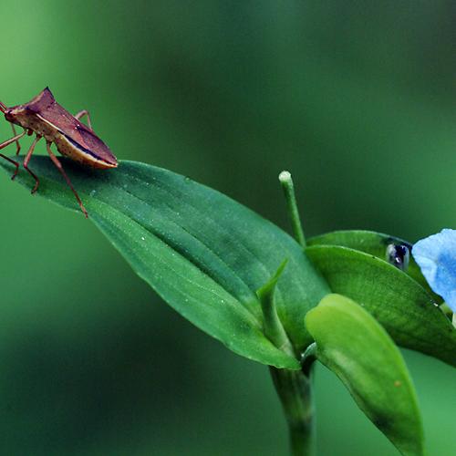 오늘 아침엔222탄(무관심)