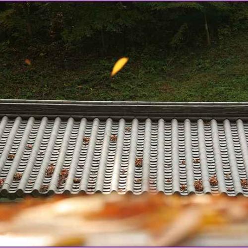 가는 이의 뒷모습