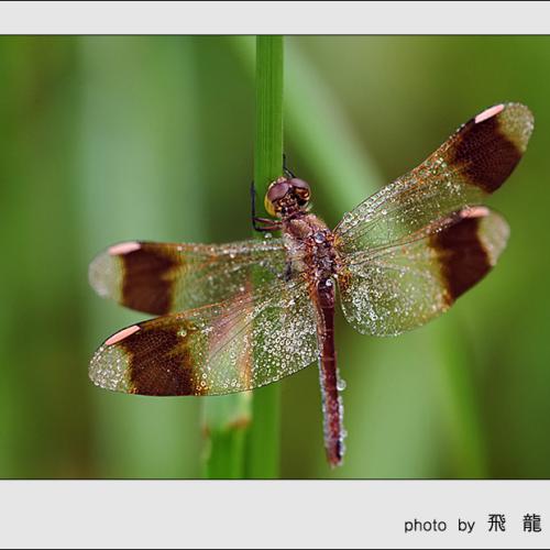 오늘 아침엔106-2탄