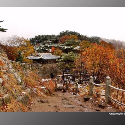 서울에도 첫눈이