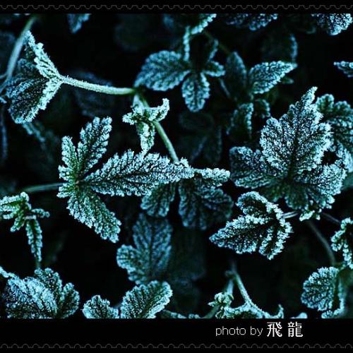 오늘 아침엔15탄