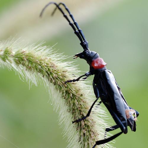 오늘 아침엔223탄(?)