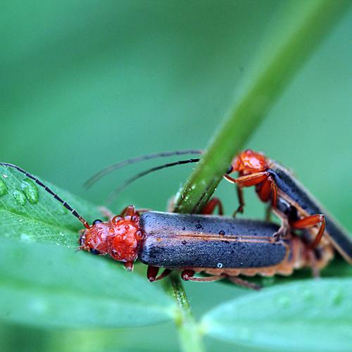 오늘 아침엔162-2탄(어부바 투)