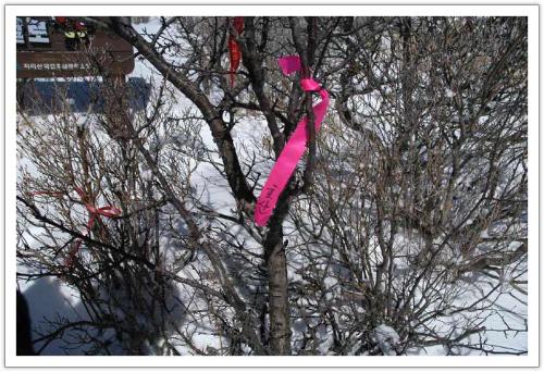 호산 방문을 축하?하는 현수막