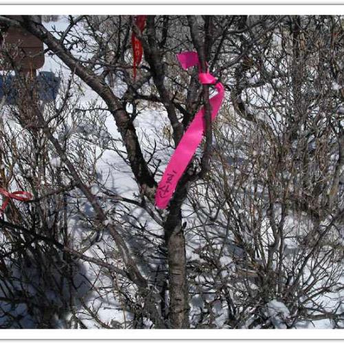 호산 방문을 축하?하는 현수막