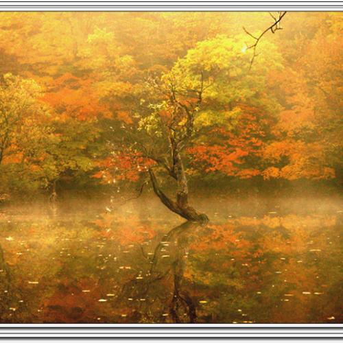 마침 이때 기다리던 빛이.....