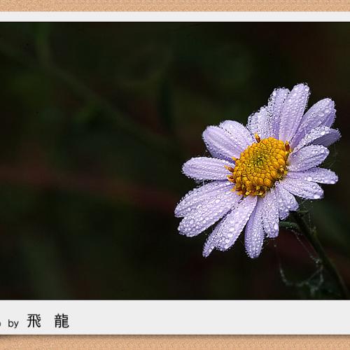 오늘 아침엔107탄