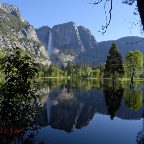 ------- Yosemite 드디어 만난 세기의 절경 -------