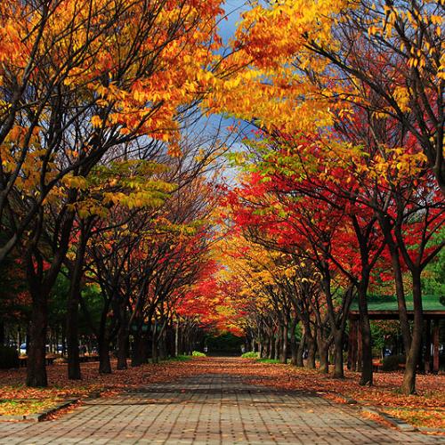 가을속으로(9장)