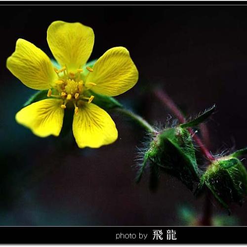 오늘 아침엔16탄