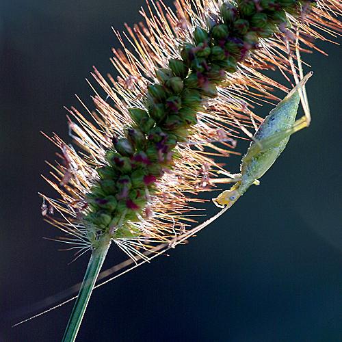 오늘 아침엔222탄(기다림)