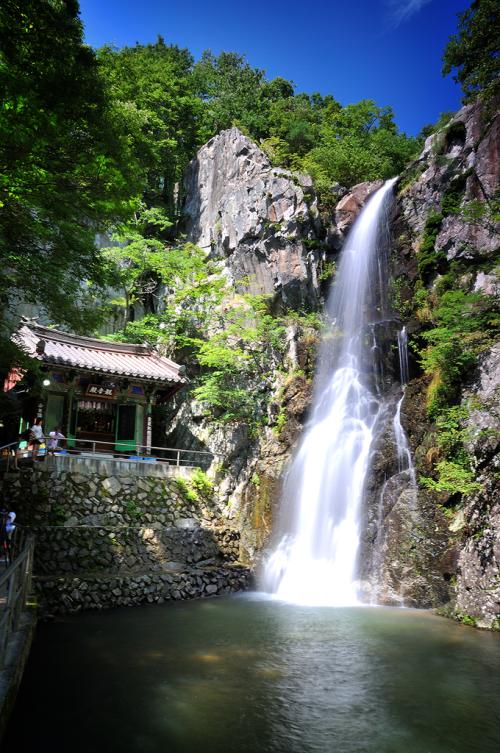 더위 날리세요^^